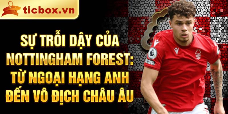 Sự trỗi dậy của nottingham forest: từ ngoại hạng anh đến vô địch châu âu