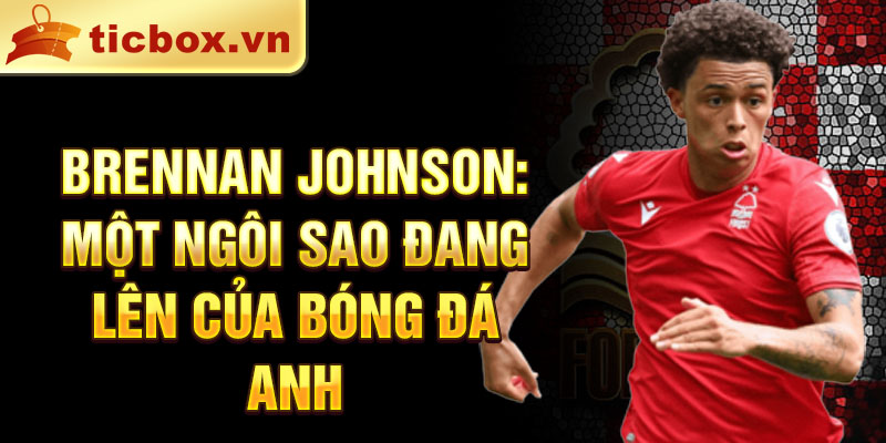 Brennan Johnson: Một ngôi sao đang lên của bóng đá Anh