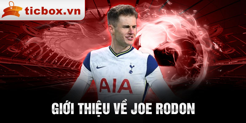 Giới thiệu về joe rodon