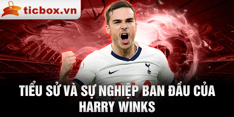 Tiểu sử và sự nghiệp ban đầu của harry winks