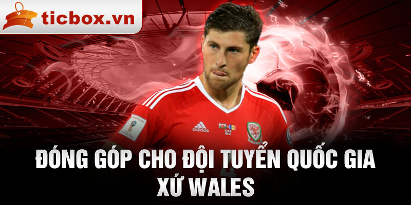 Đóng góp cho đội tuyển quốc gia xứ Wales