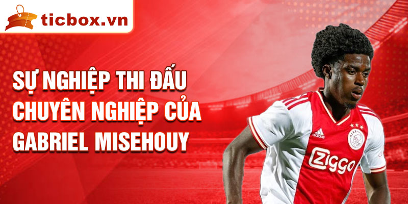 Sự nghiệp thi đấu chuyên nghiệp của Gabriel Misehouy